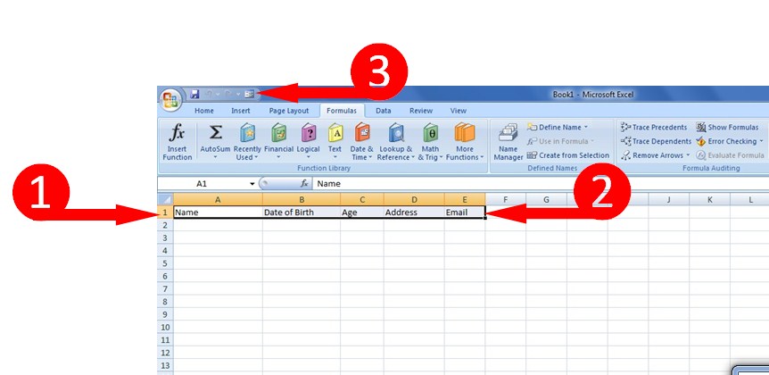 data form in excel