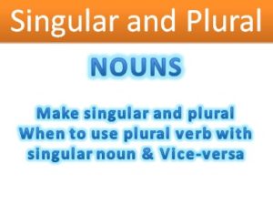 Singular and Plural Nouns: Meaning & Examples