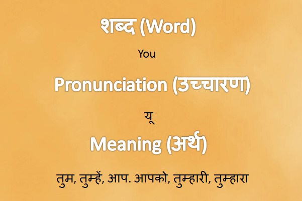 You Meaning Usage Examples In Hindi